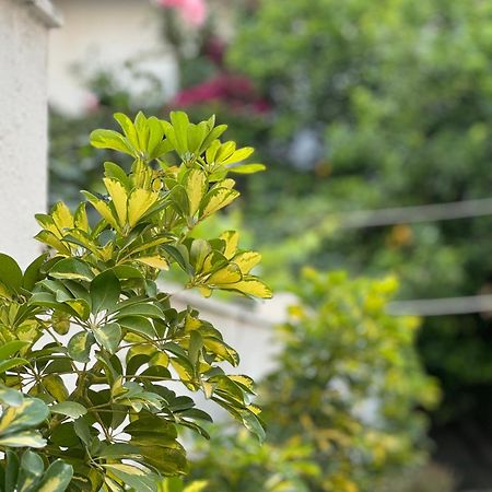 Μονοκατοικία «Maizonette Passaggio G» Volos Exterior photo